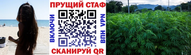 A PVP Лесозаводск