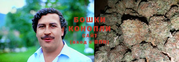 ALPHA PVP Медвежьегорск
