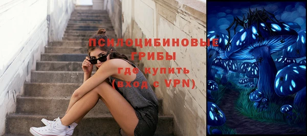 ALPHA PVP Медвежьегорск