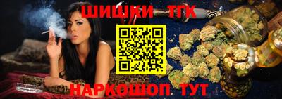 стафф Камышлов
