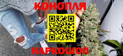 стафф Камышлов