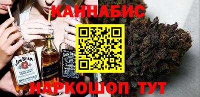 стафф Камышлов