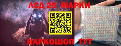 стафф Камышлов