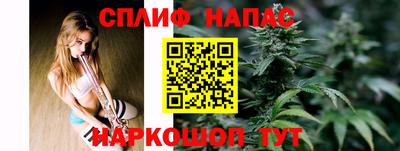 стафф Камышлов