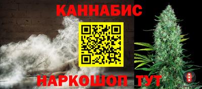 стафф Камышлов