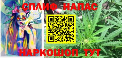стафф Камышлов