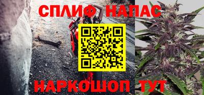стафф Камышлов