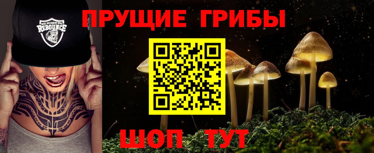 Галлюциногенные грибы Psilocybine cubensis  Псилоцибиновые грибы мухоморы  Лесозаводск  Вход с VPN 